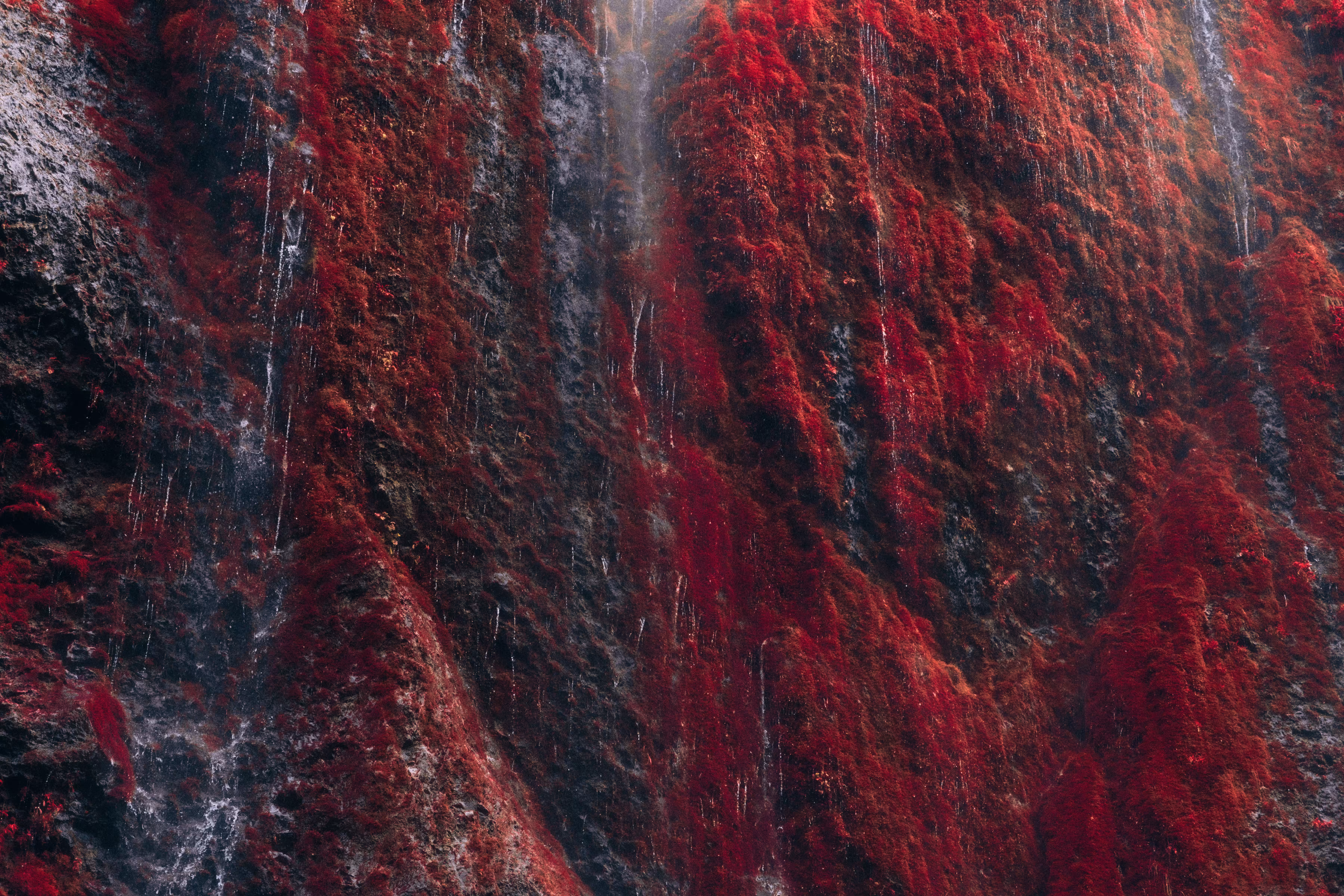 Anomalies IX: The Red Wall