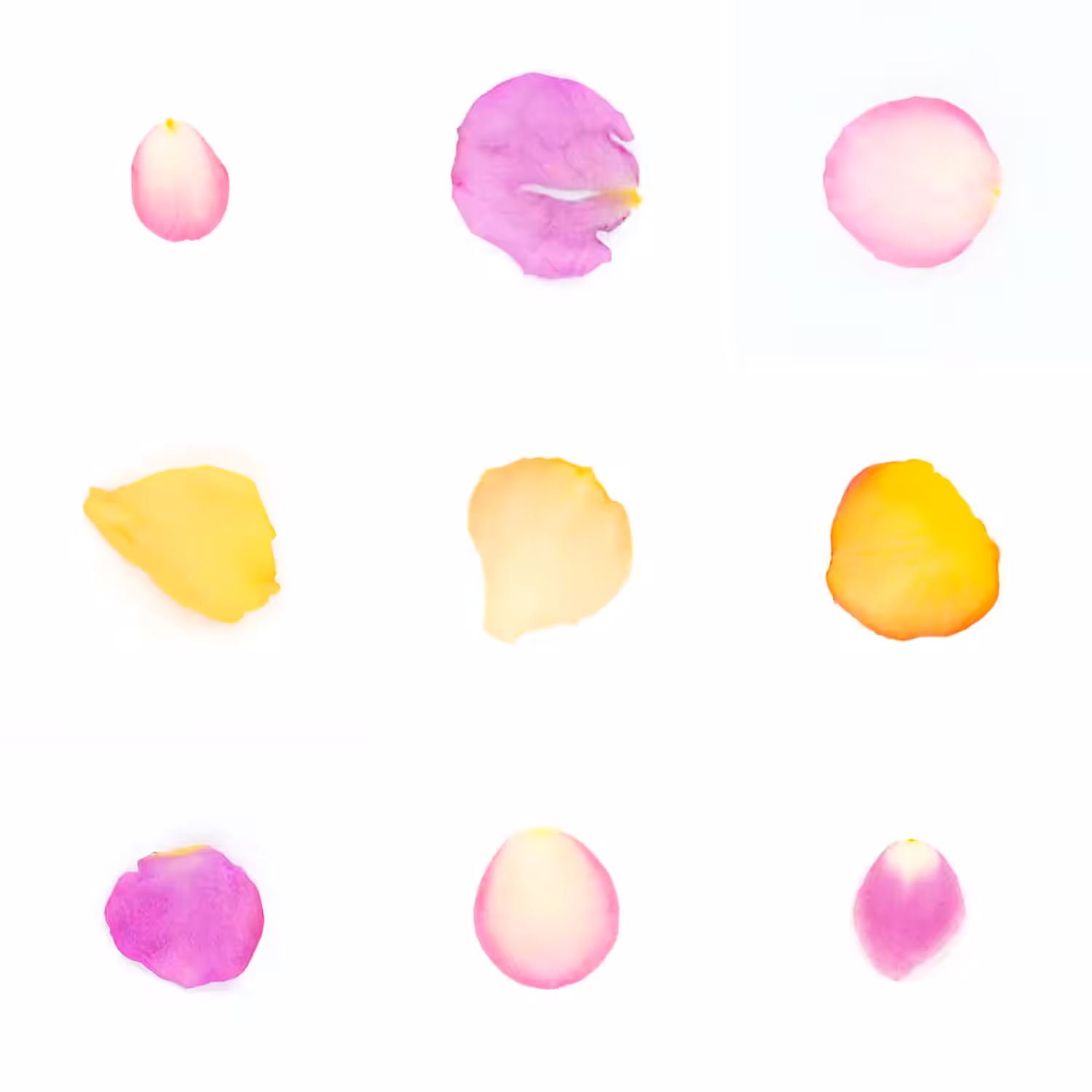 Infinite Petals 3x3#3209