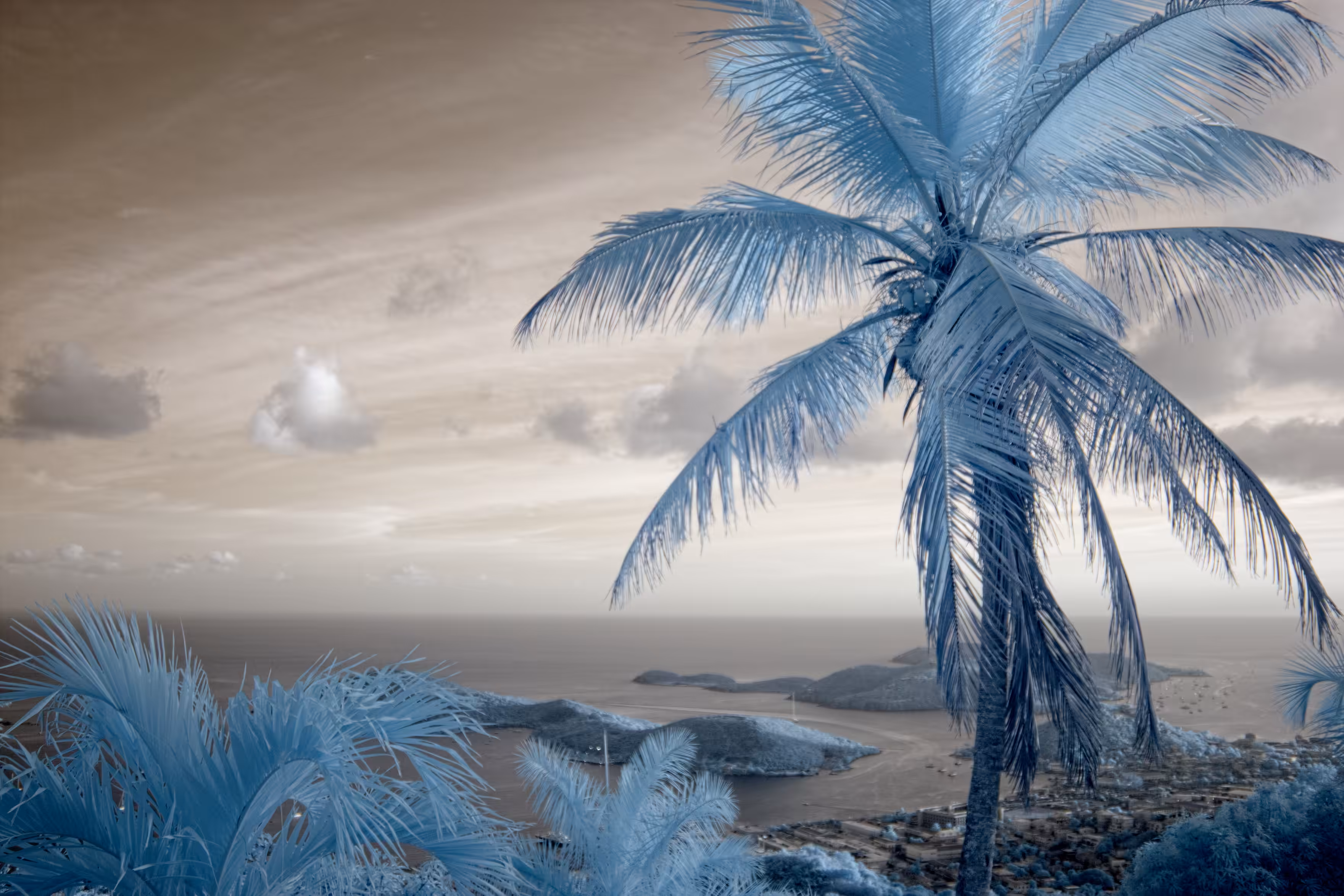Tropical Ice