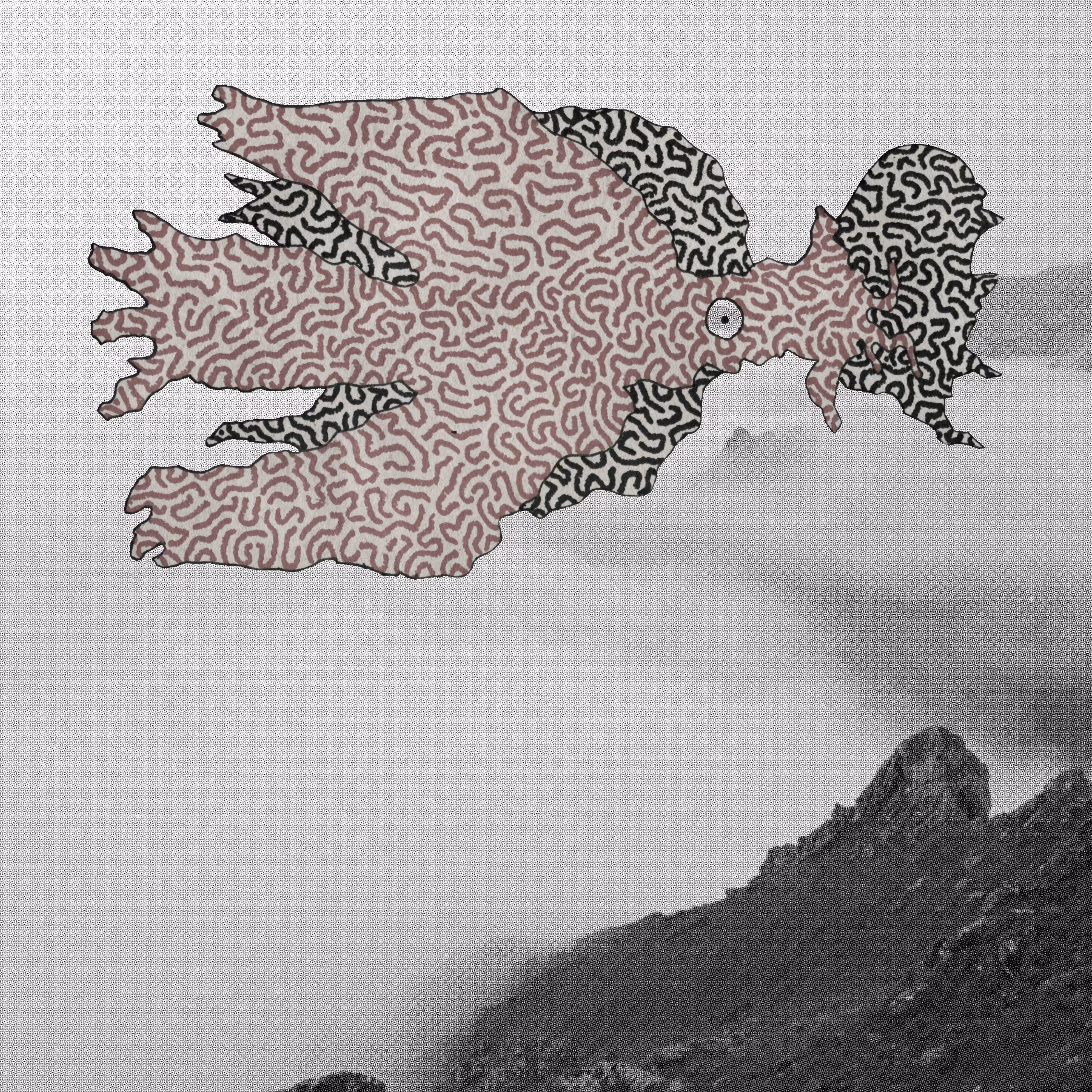 A catalogue of silence: 9