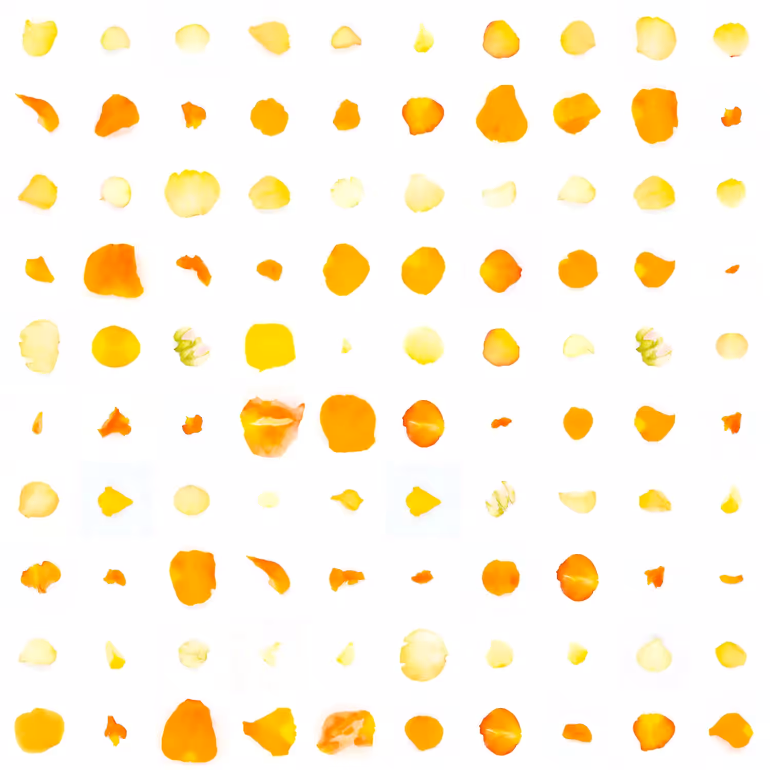 Infinite Petals 10x10#1682