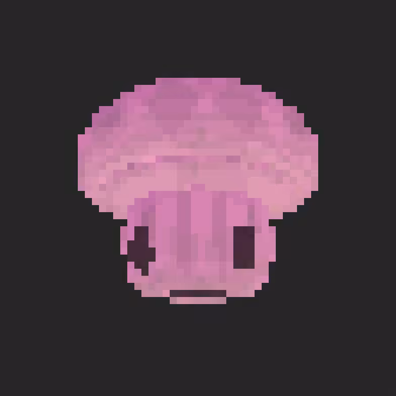 Allenii #4