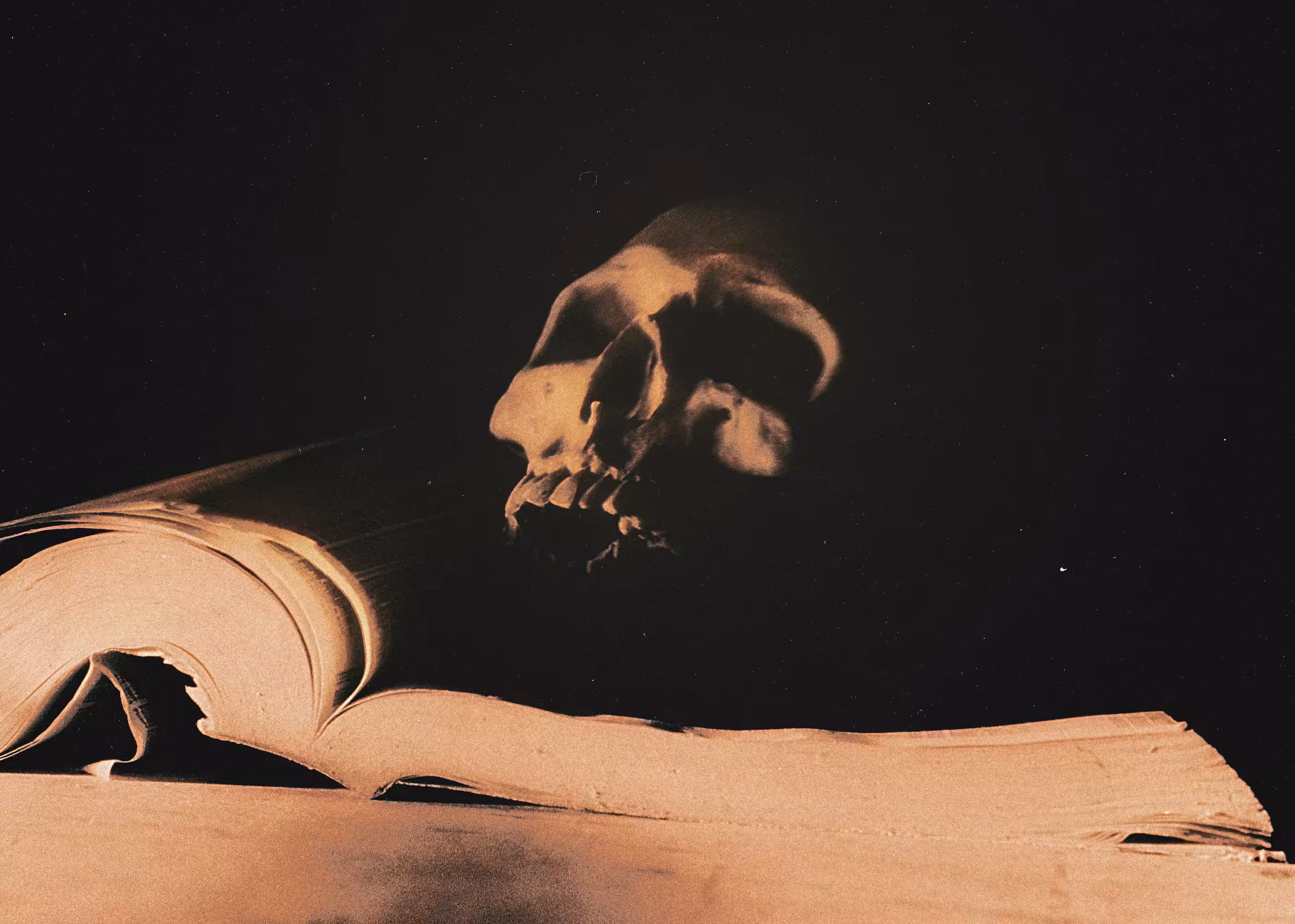 la muerte de la sabiduría 