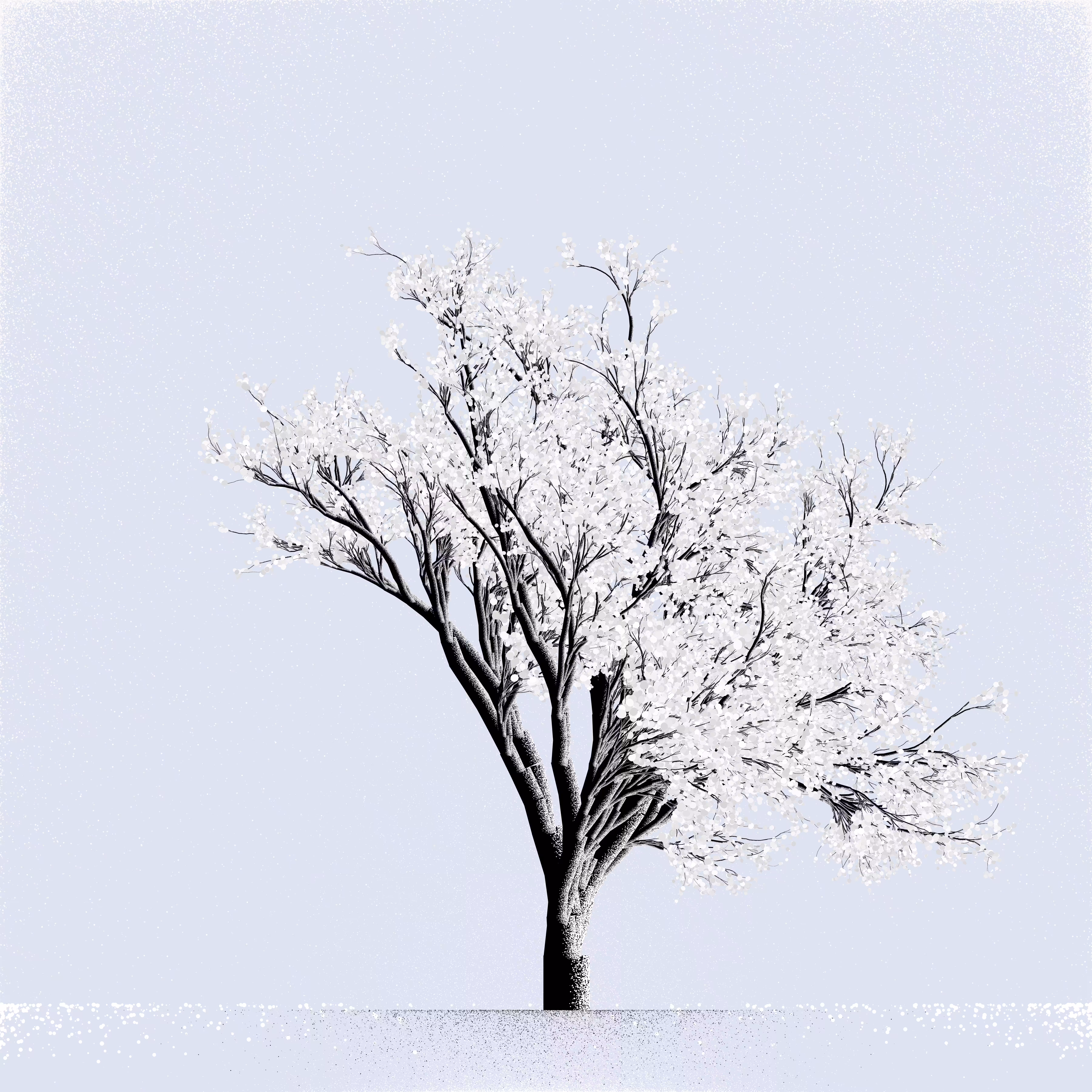 Snow Tree #14