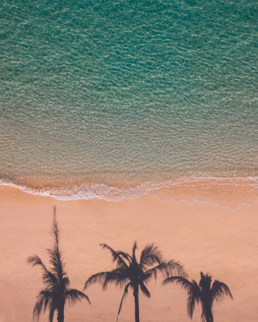 Tropical Vibes #2 ( Shadows of life )