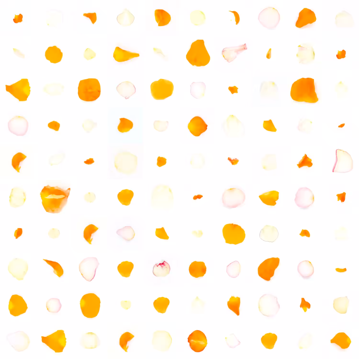 Infinite Petals 10x10#371