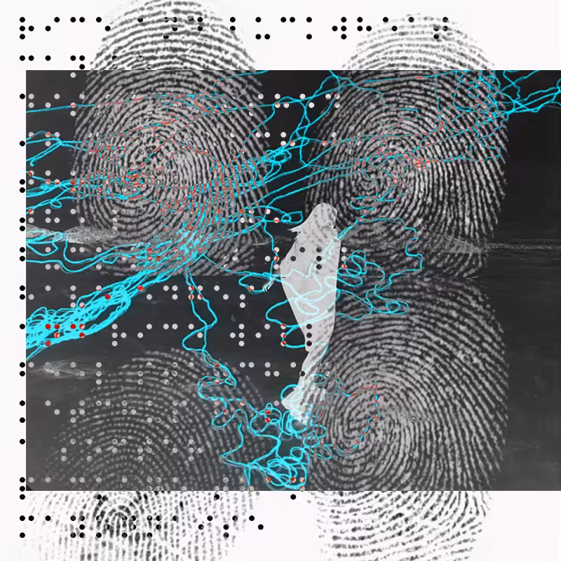 blind vision (audio) #24