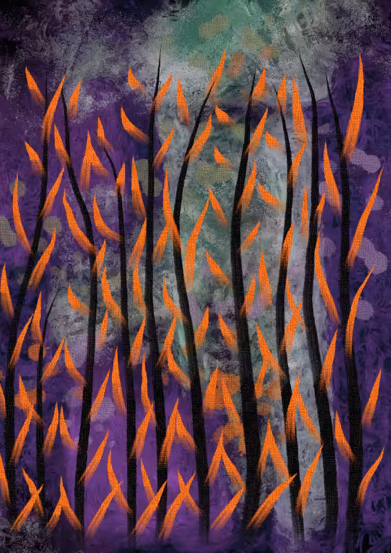 Sprouts of a Dawn #6
