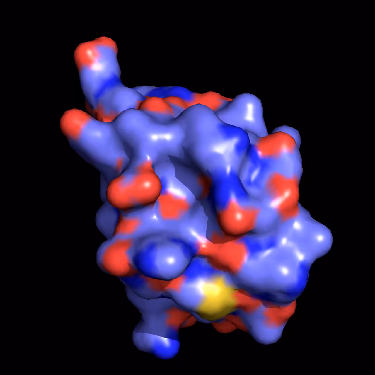 Human Insulin Peptide Hormone surface