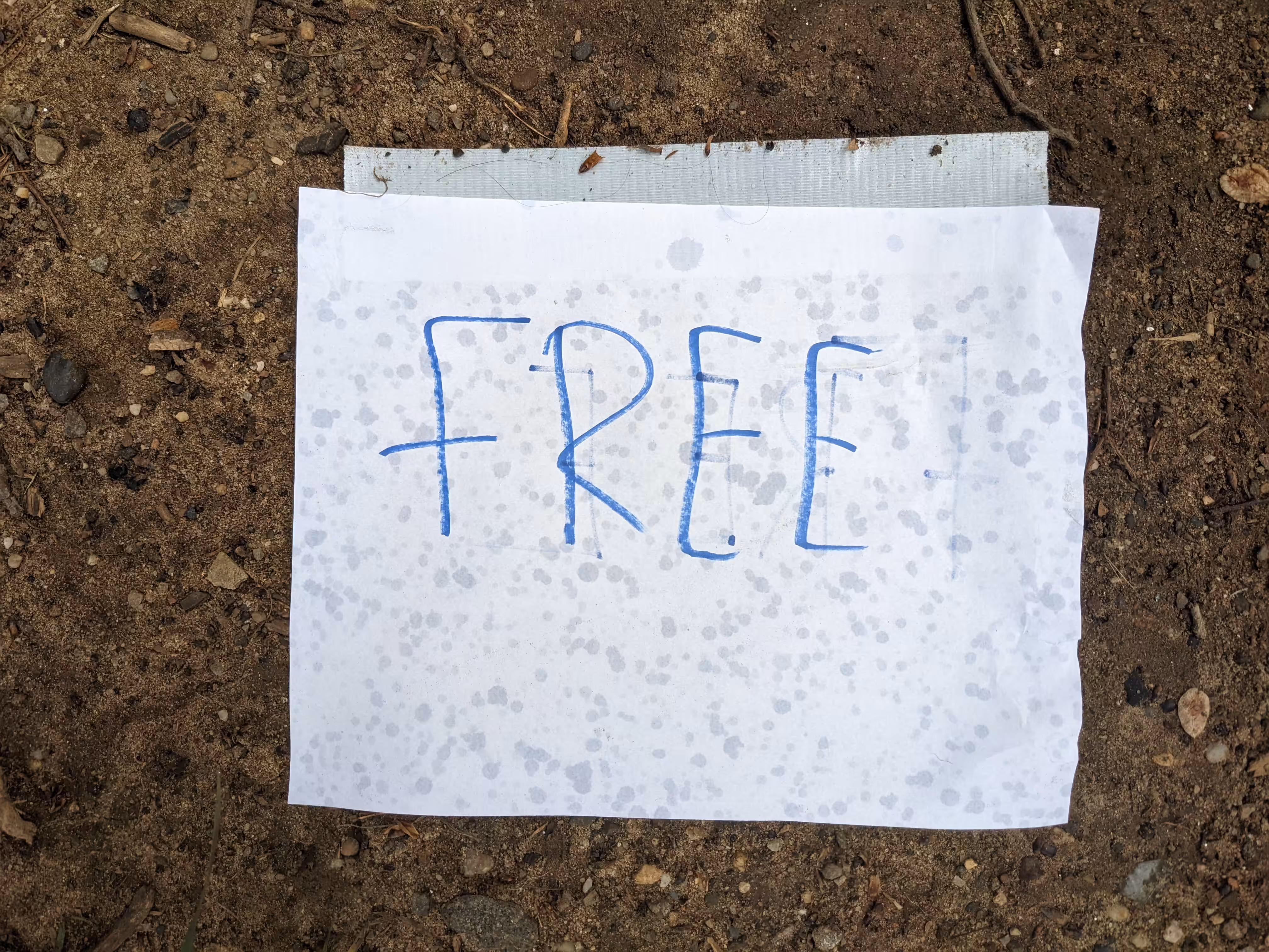Free29 #8