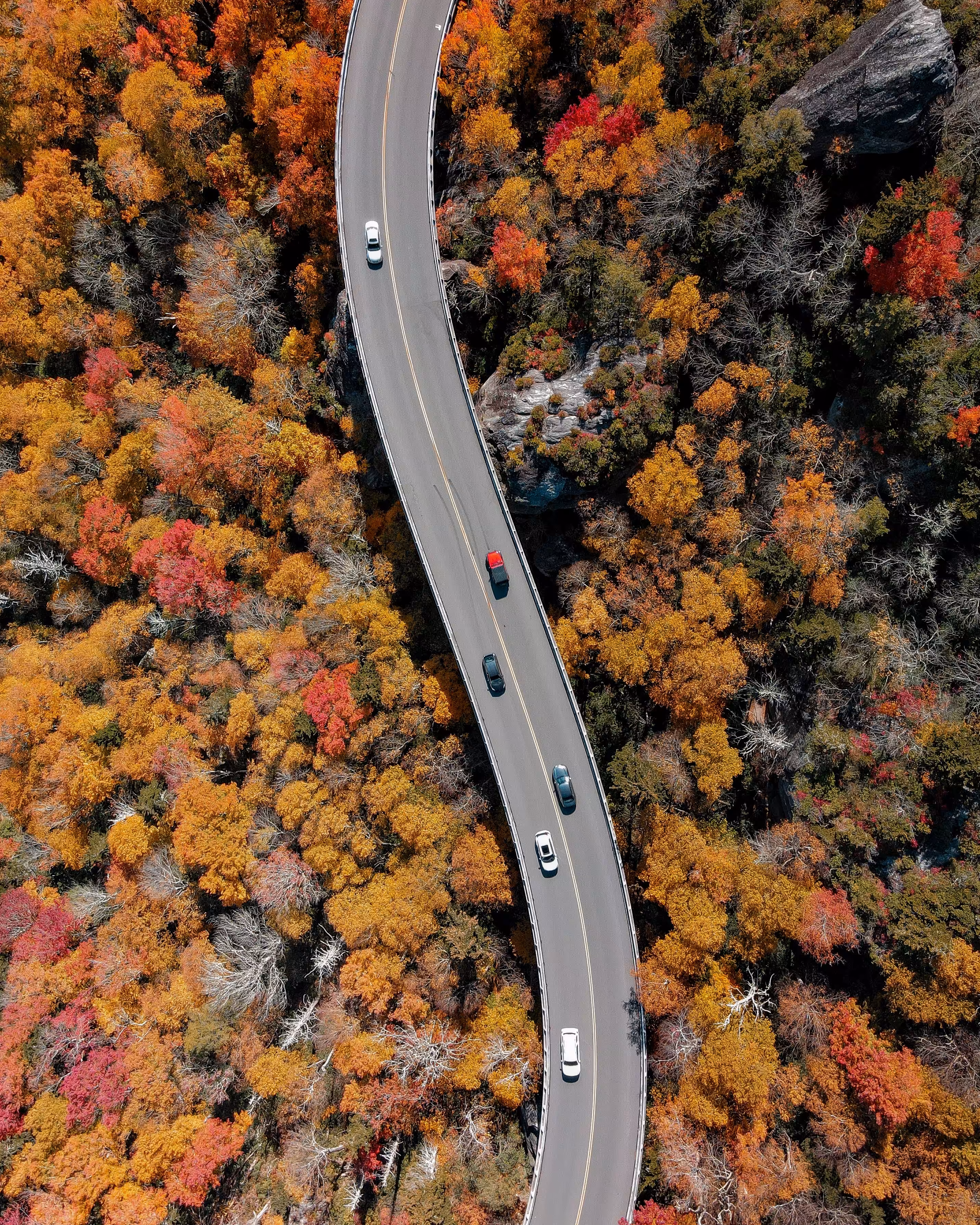 Bridge The Gap #2