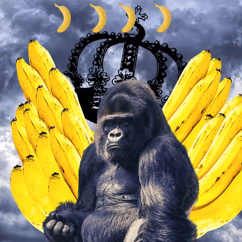 Banana gods #47
