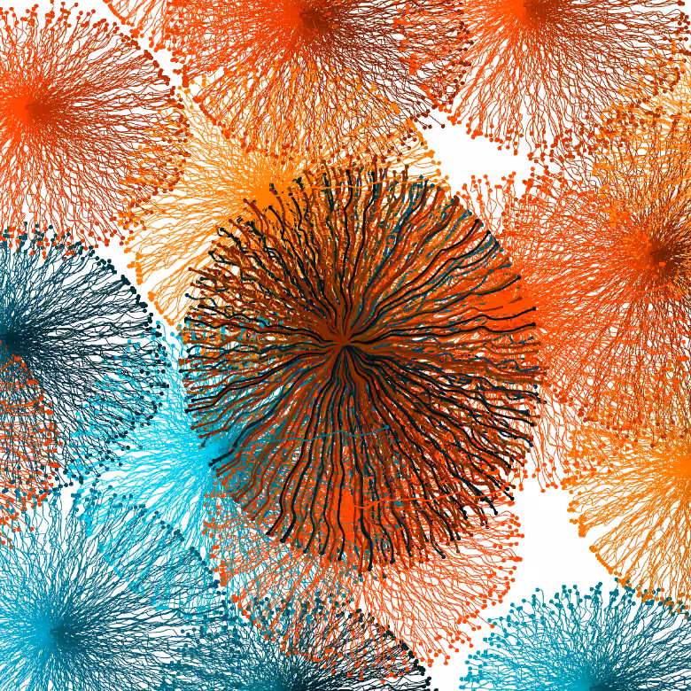 CircuWeb #16