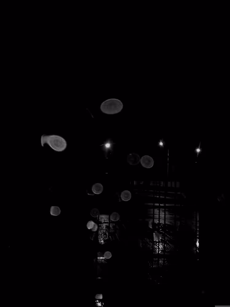 Light Dancing with The Rain