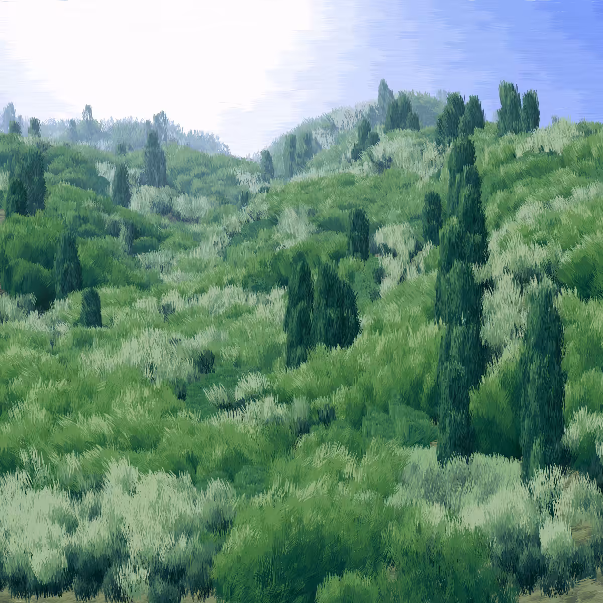 Provence #313