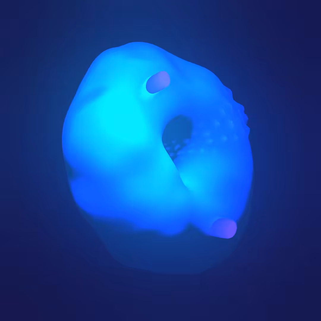 2019-11-13_22-49-42