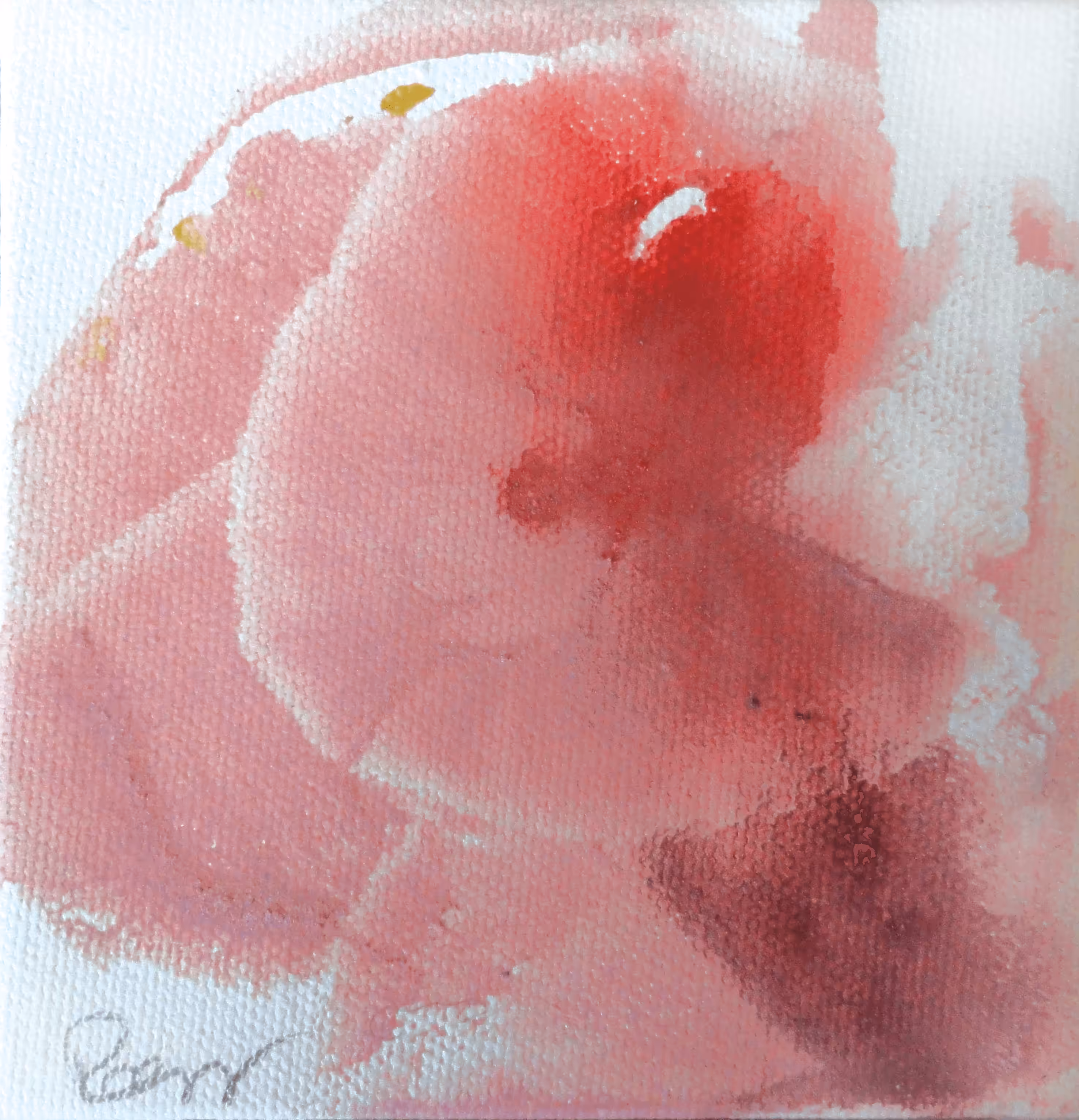 Boobies #2 watercolor by Karrie Ross