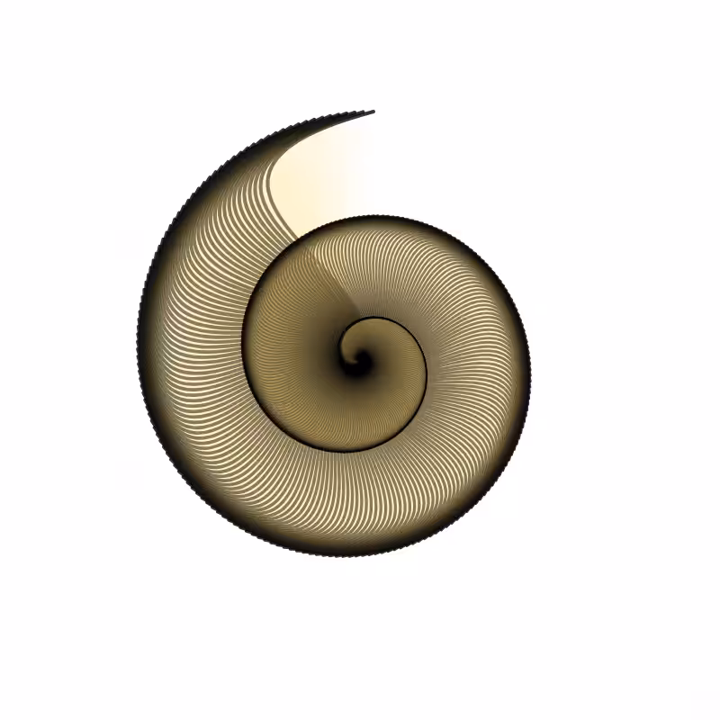 Snail Shard #4