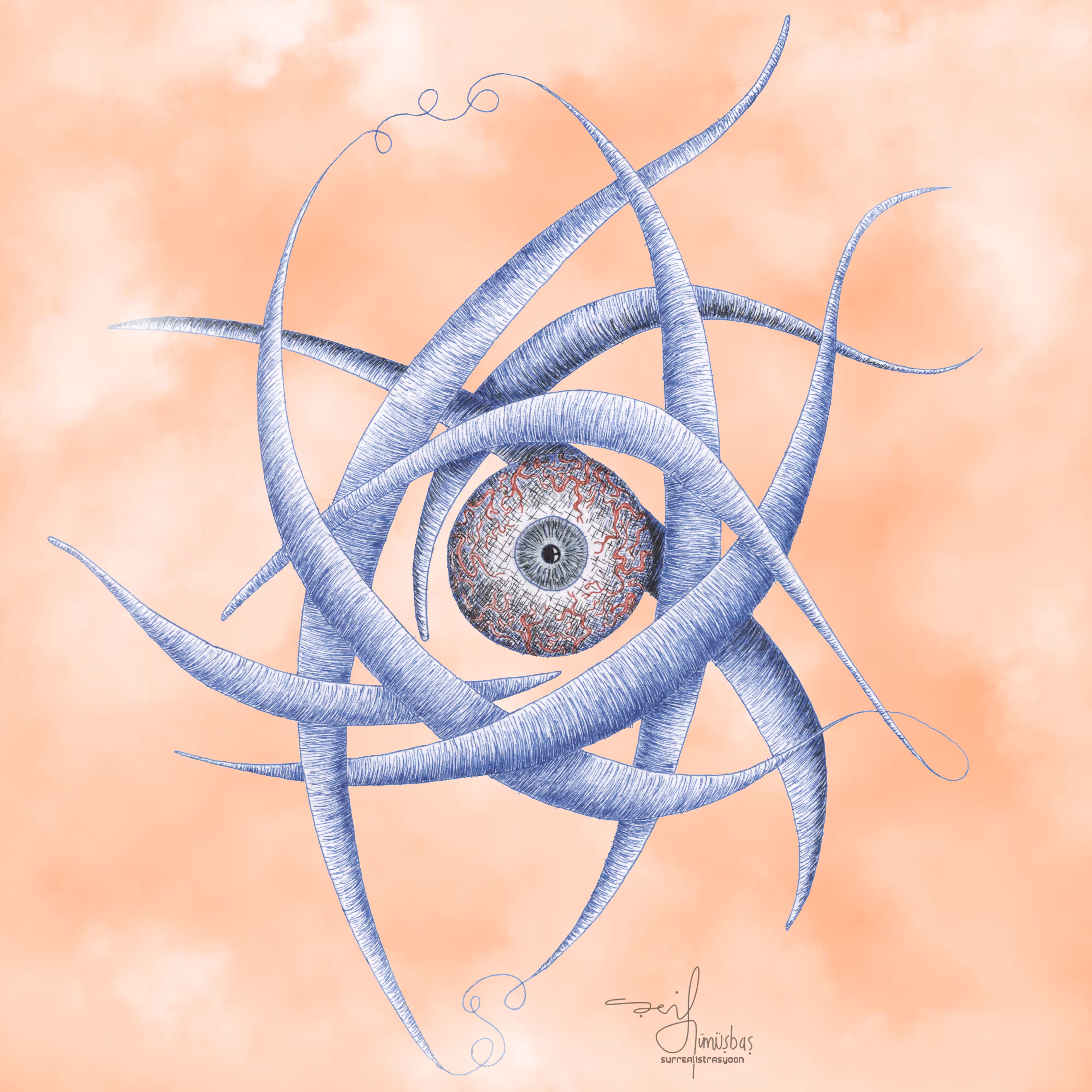 Chaos and Order