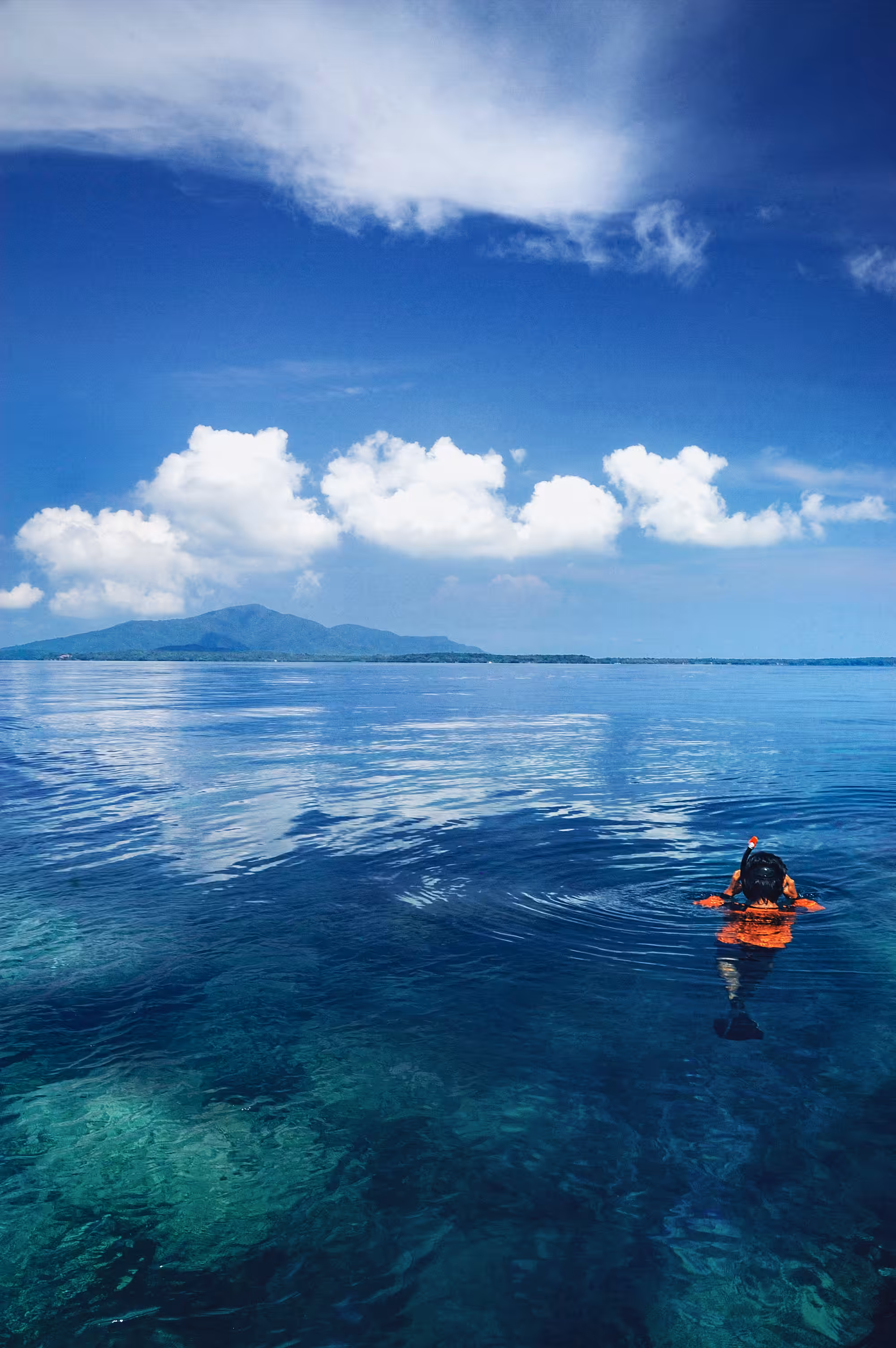 Blue Karimun