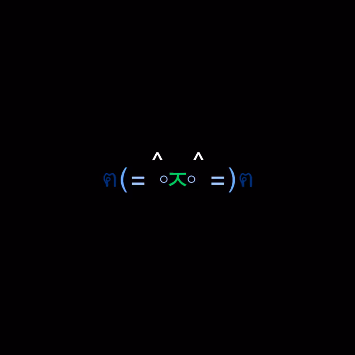 cats #8577
