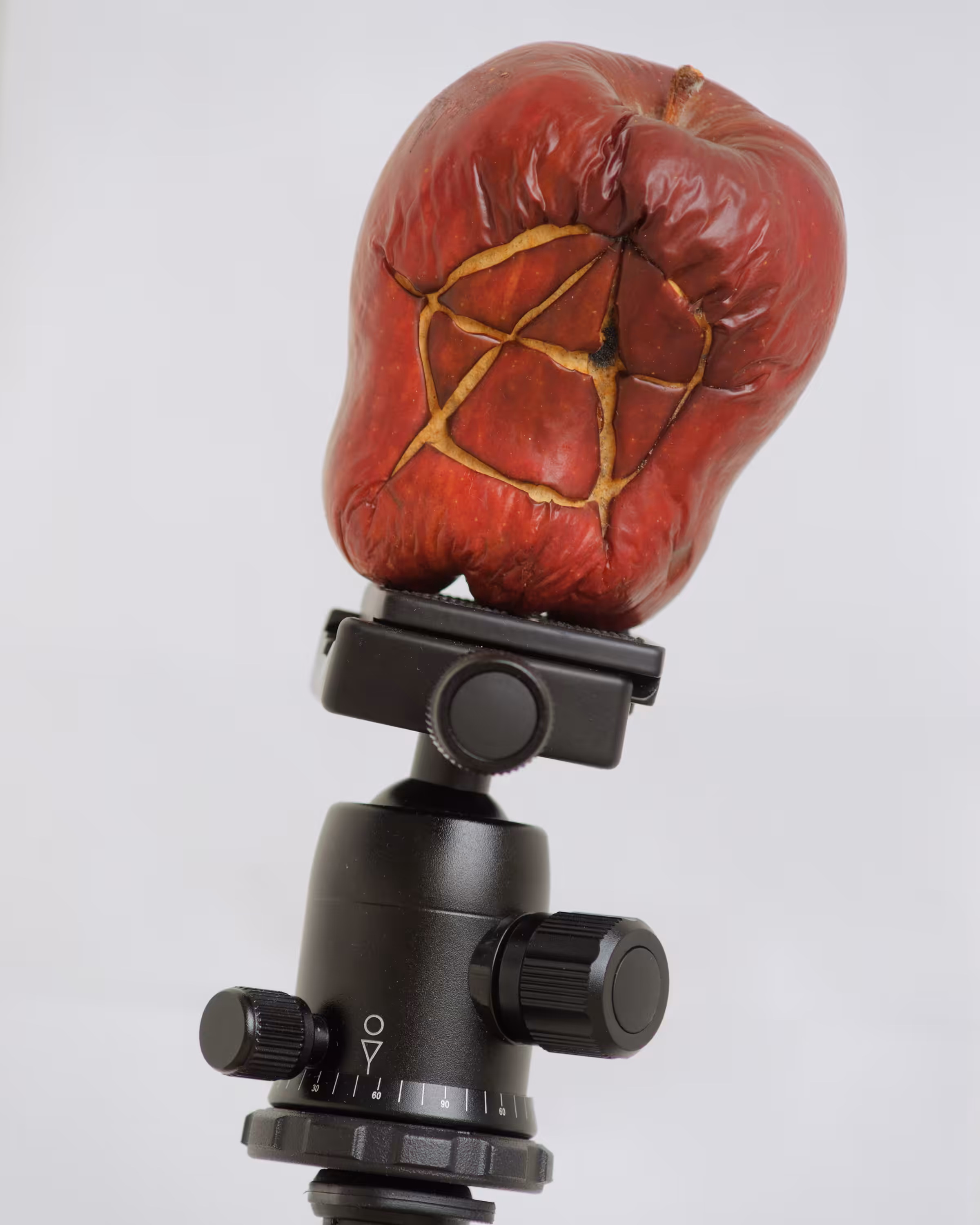 Rig