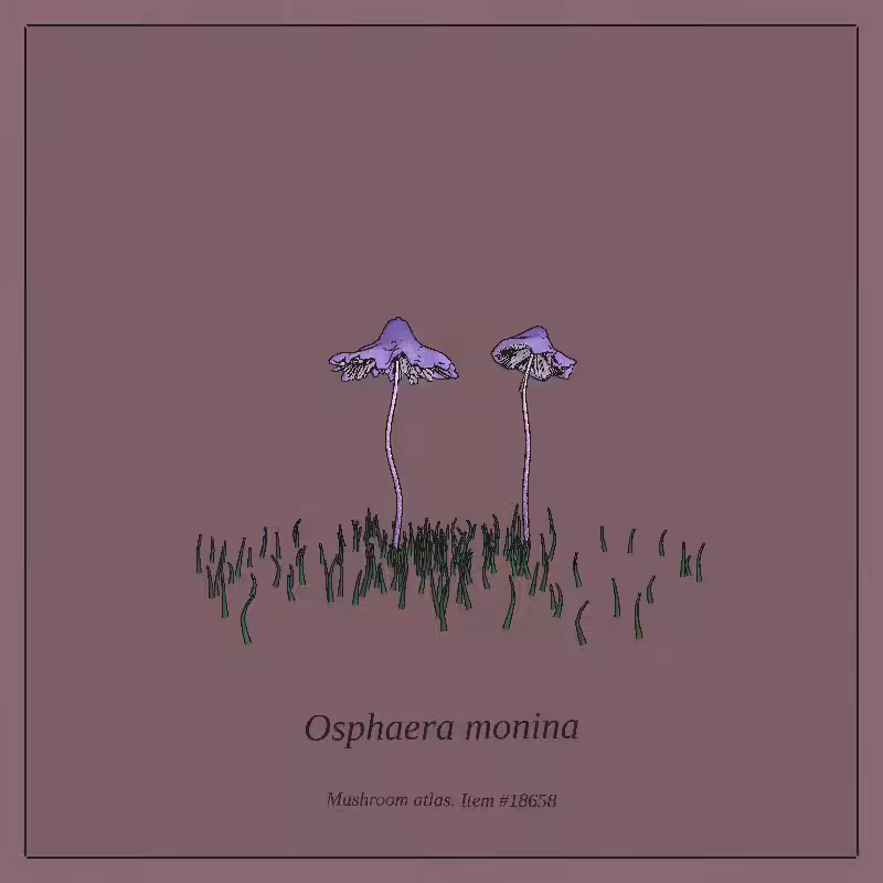 Mushroom Atlas #63
