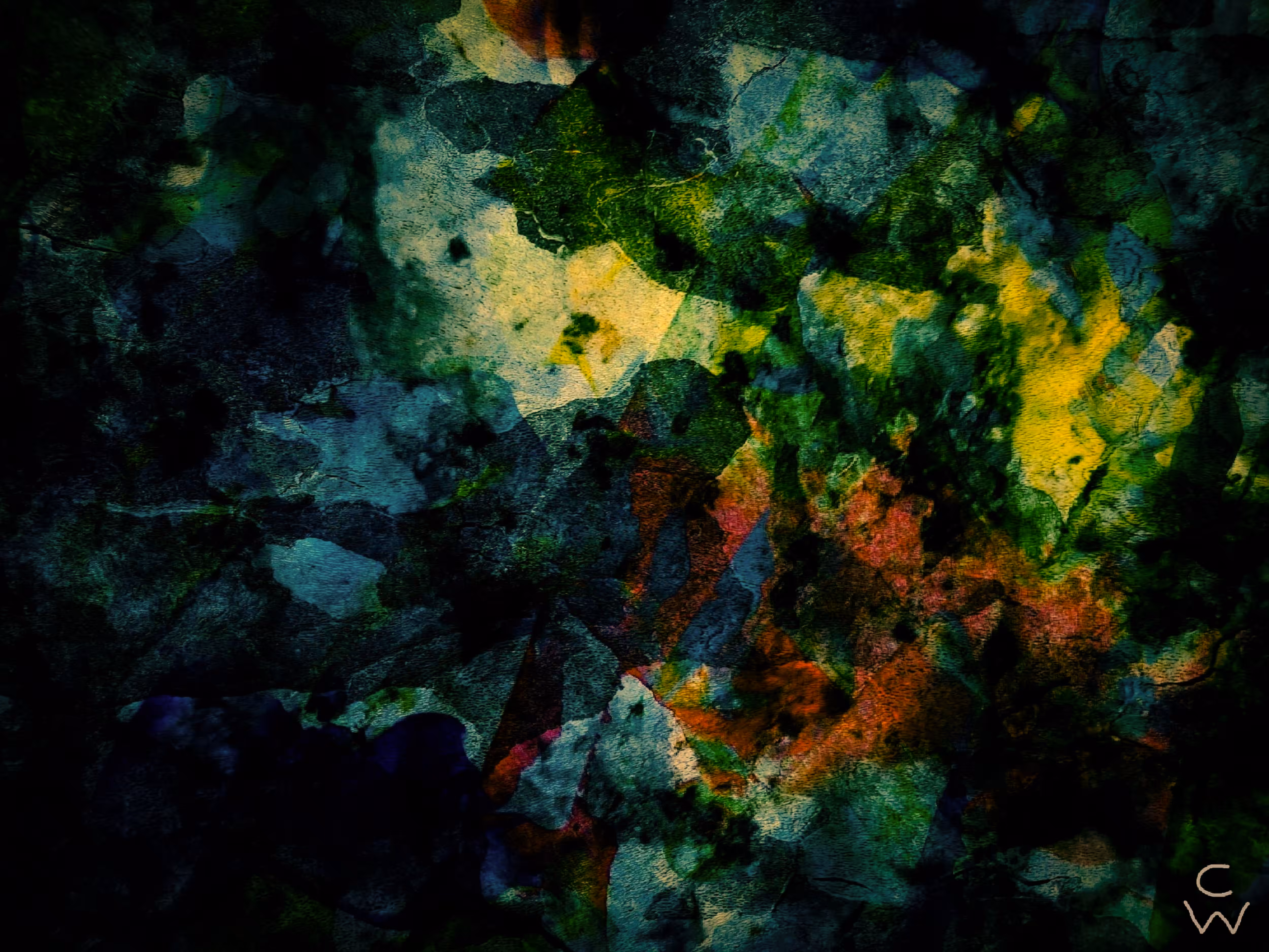 Vivid Dream