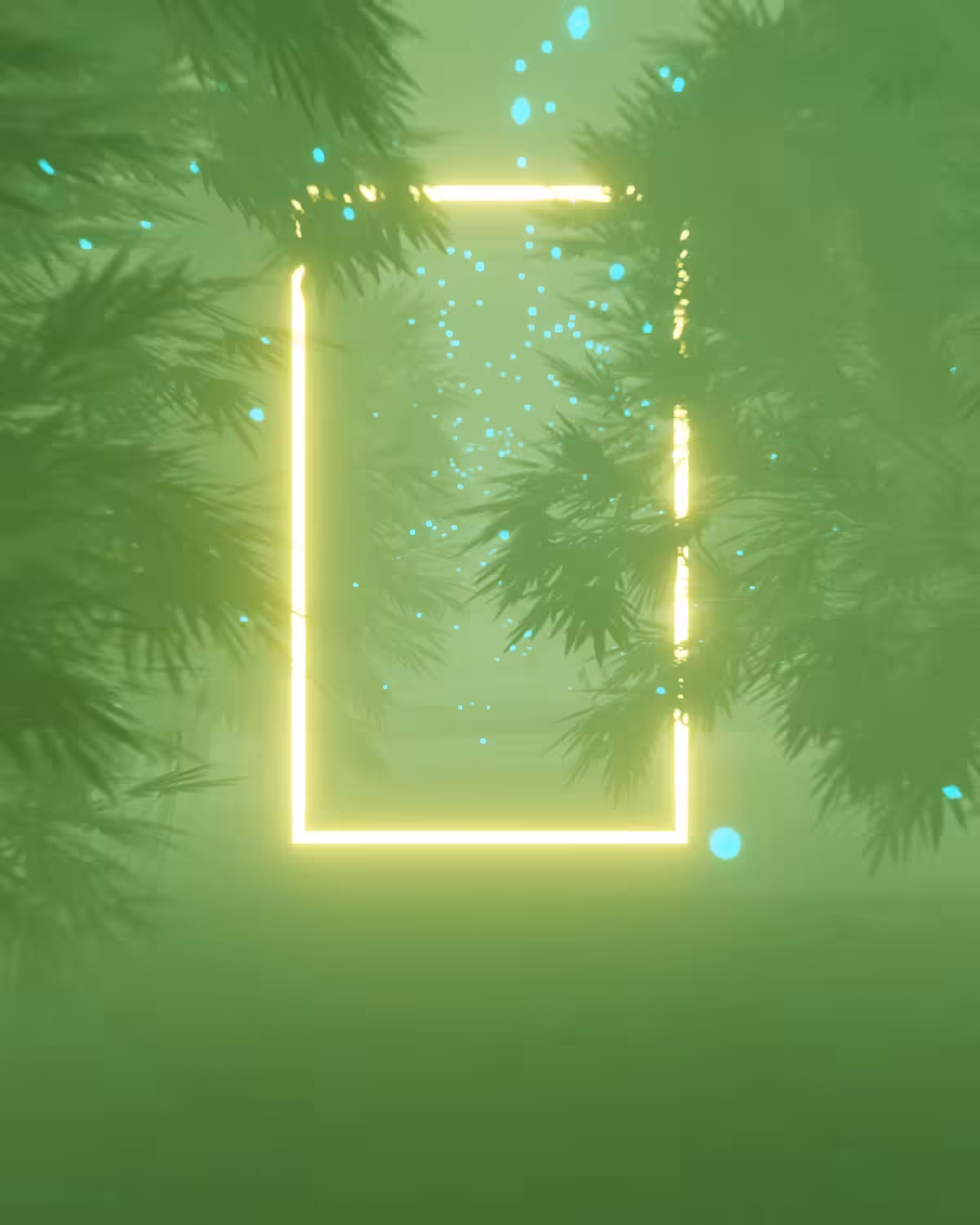 The Path