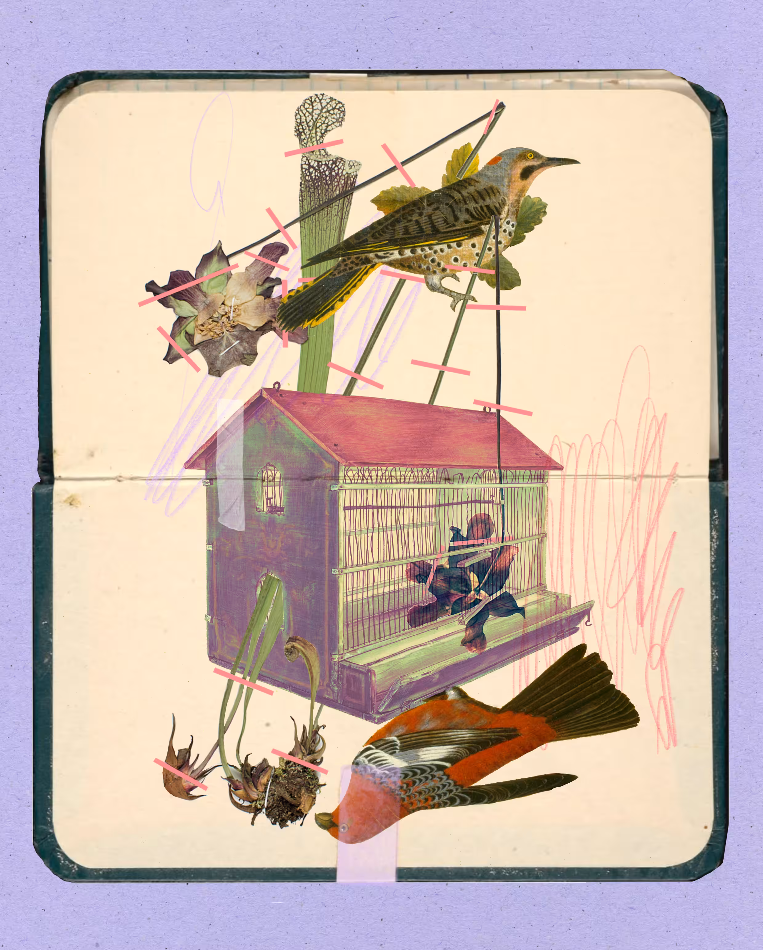 Herbarium 