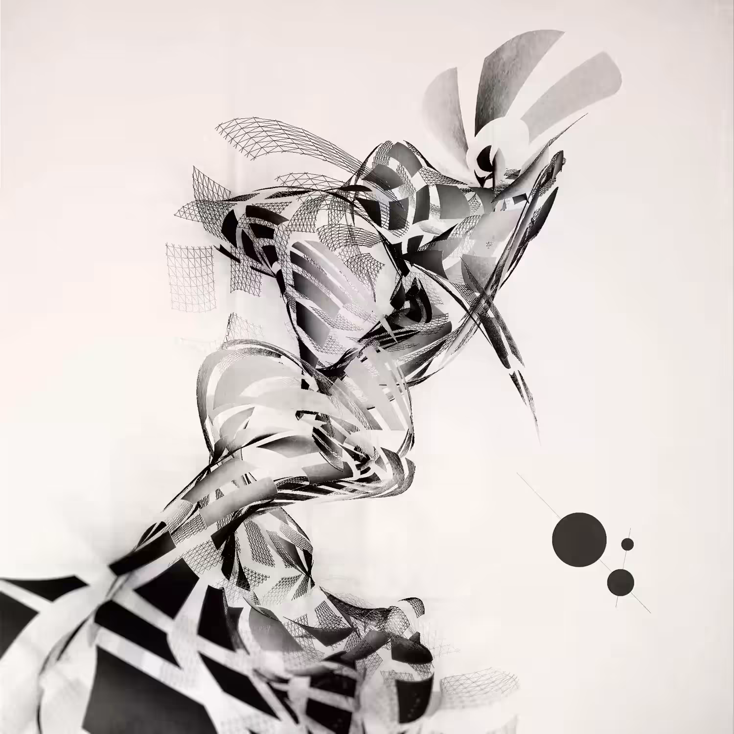 Droops 01