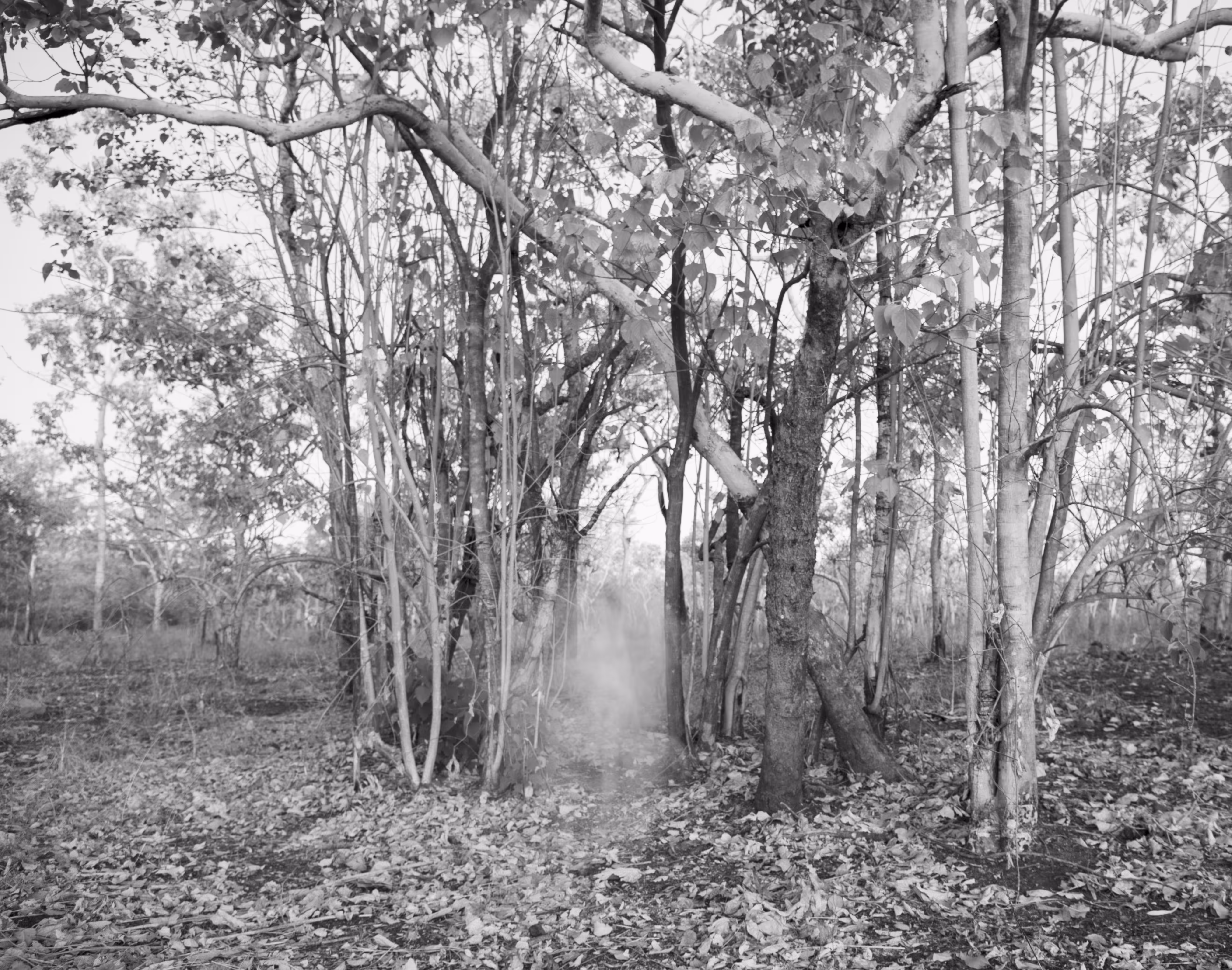 Apparition 2