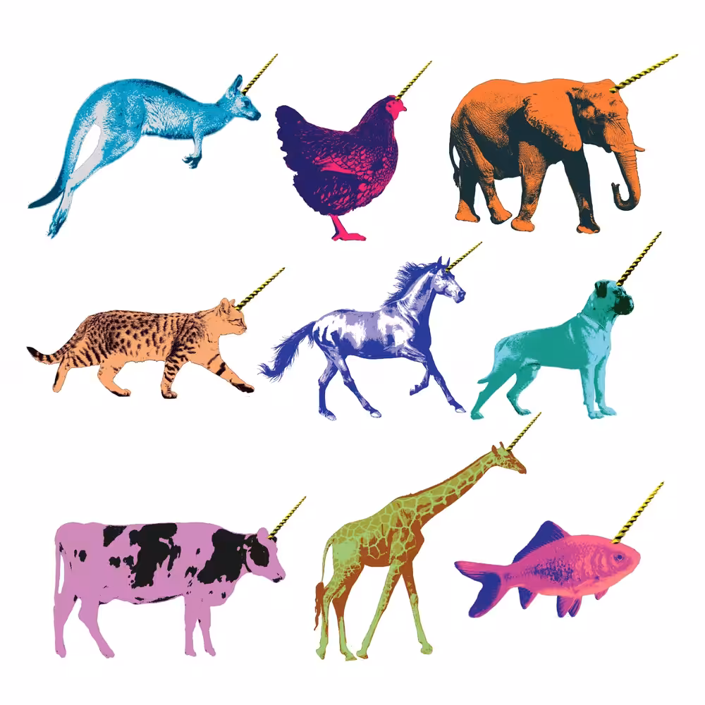 Unicorn Party