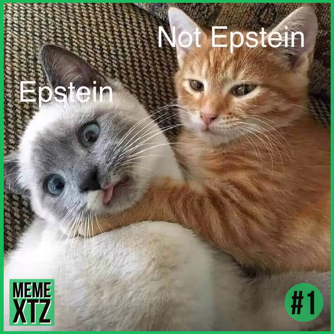 MEME XTZ #1