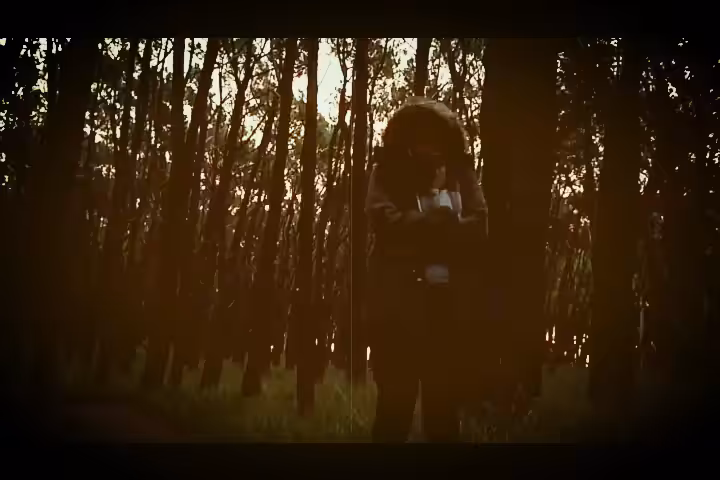 melancholic forest