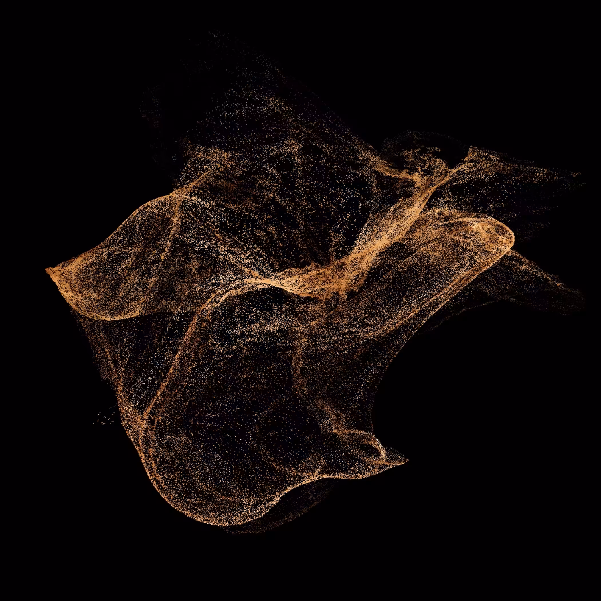 Dissolving Shell #2