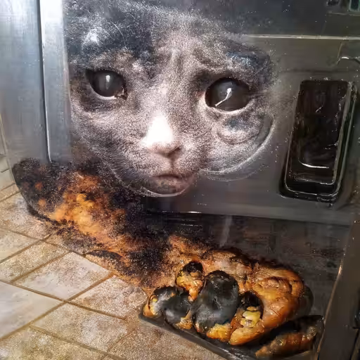 Mom, I'm sorry that I left our cat in the oven