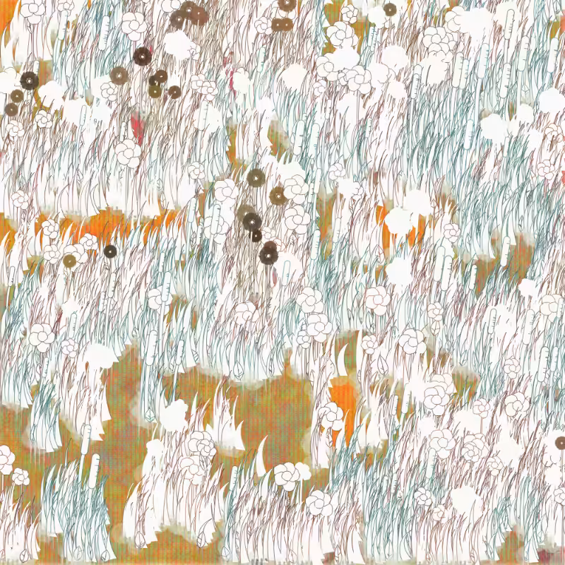 Petri 1500 #61