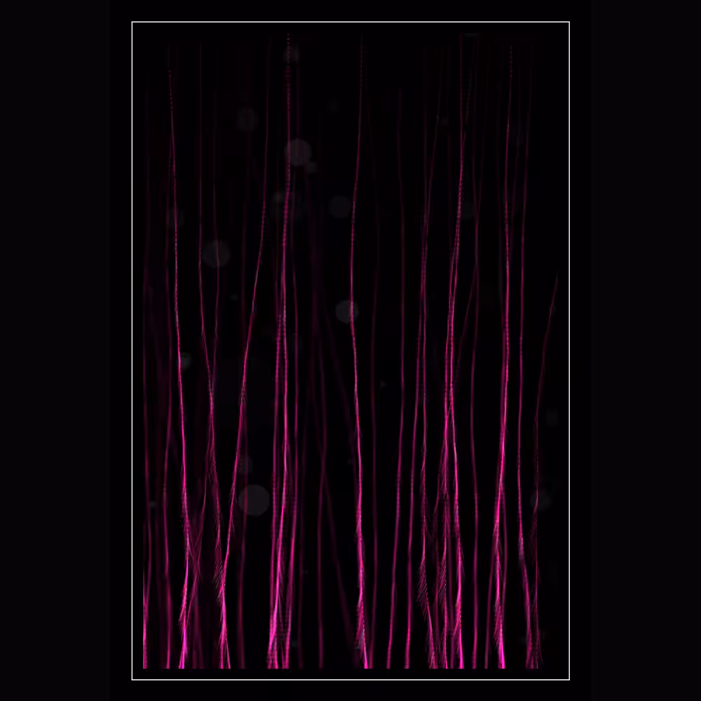 DigiRoots #23