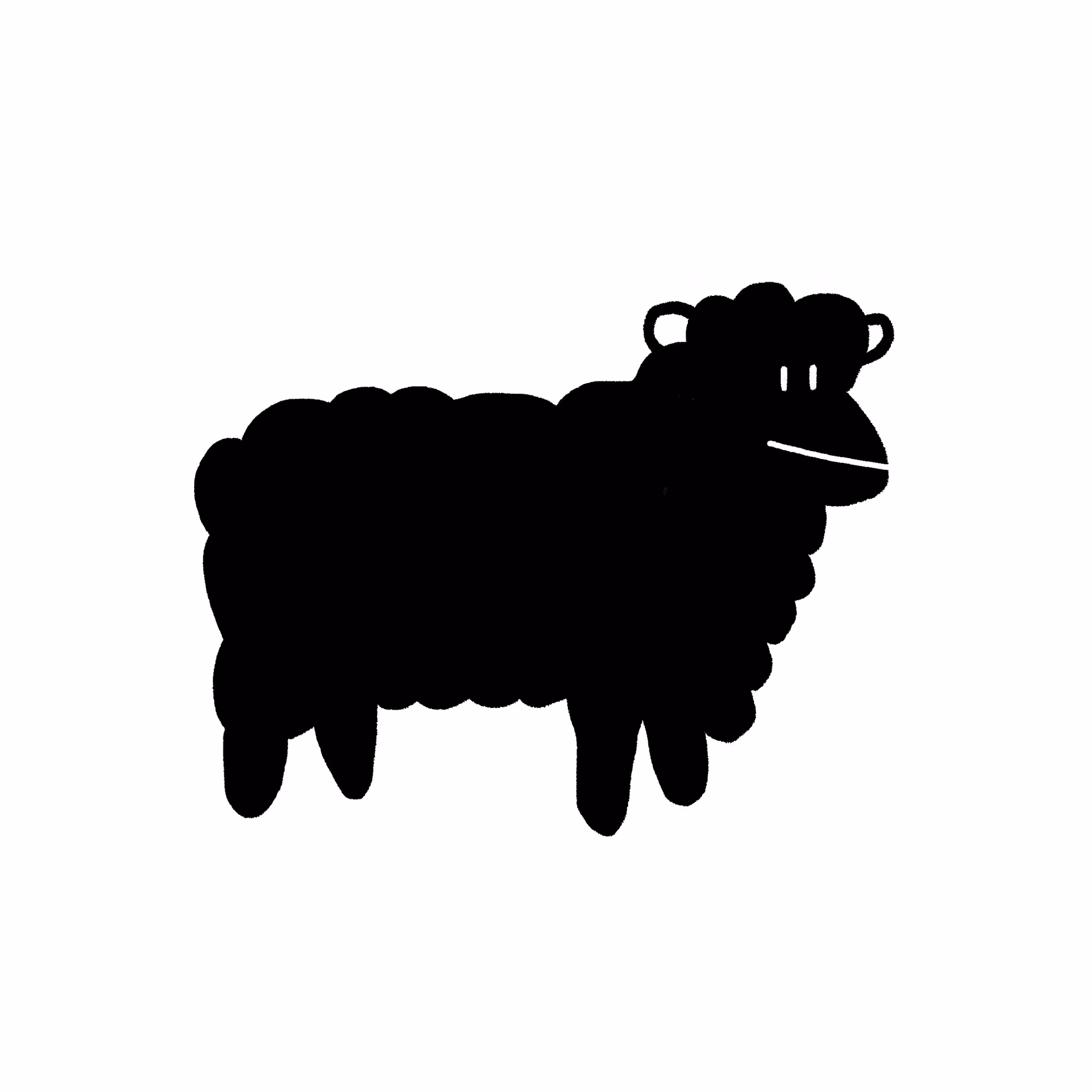 Merino Lamb