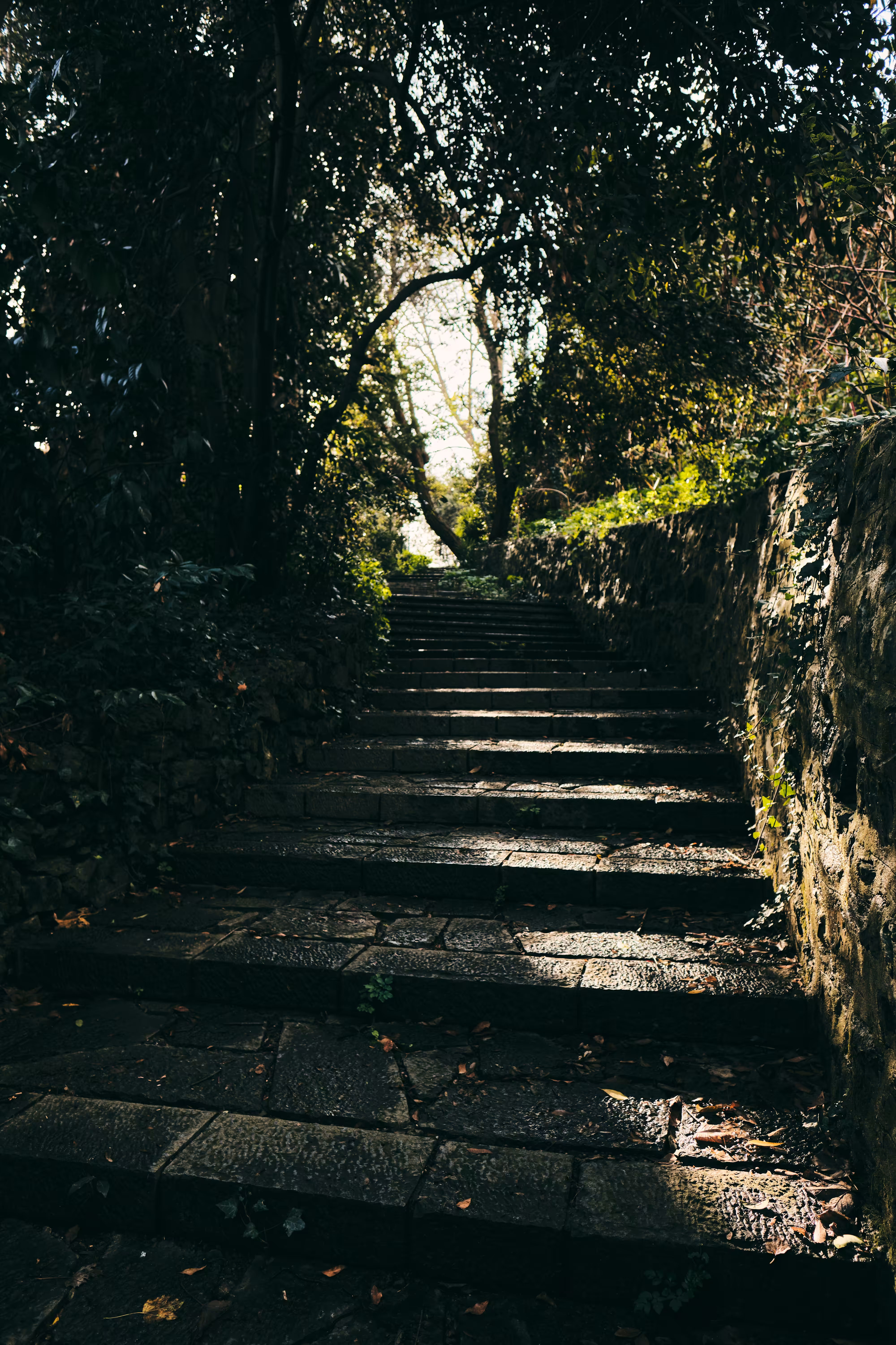Road to Hope