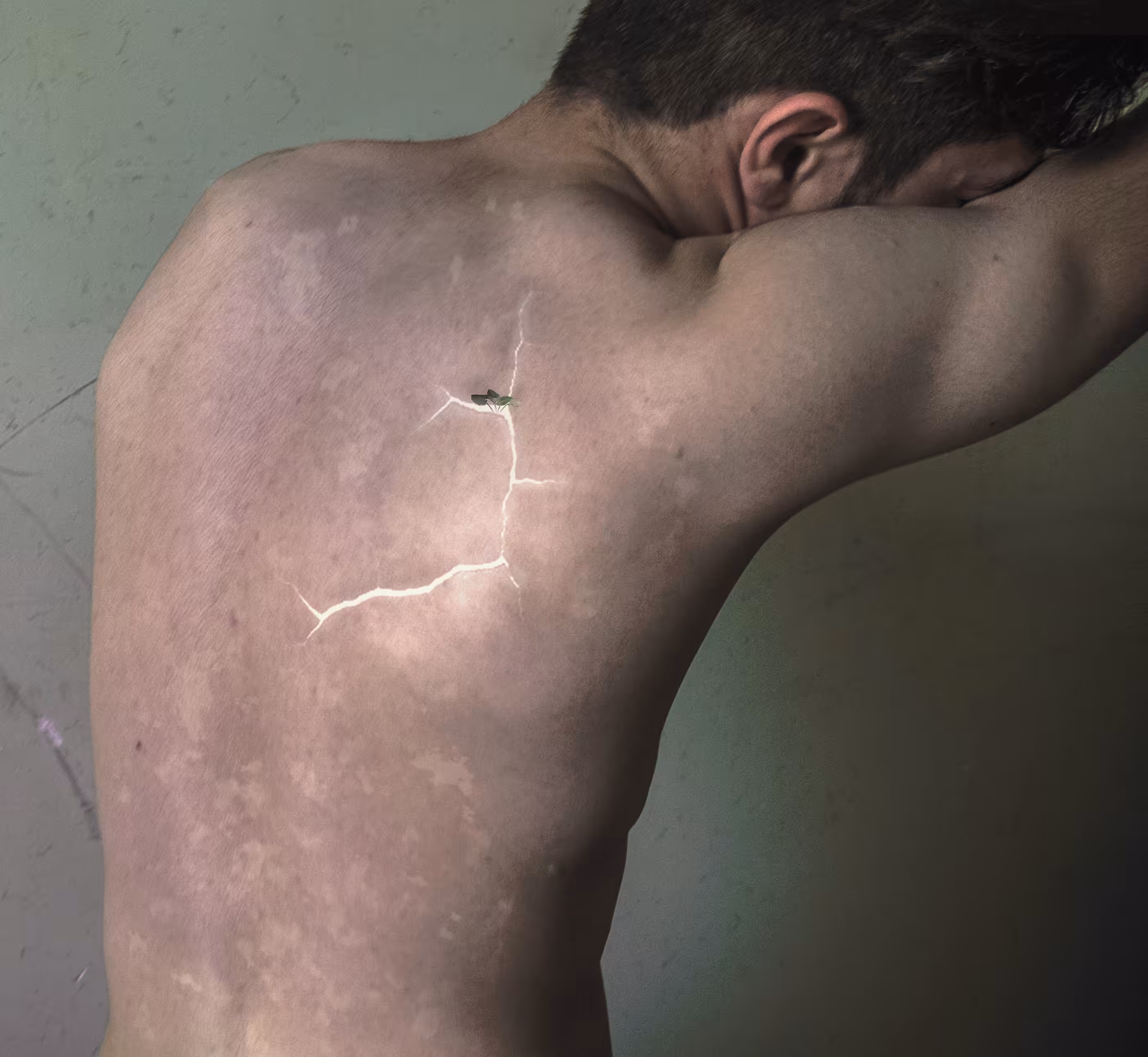 fracture to light