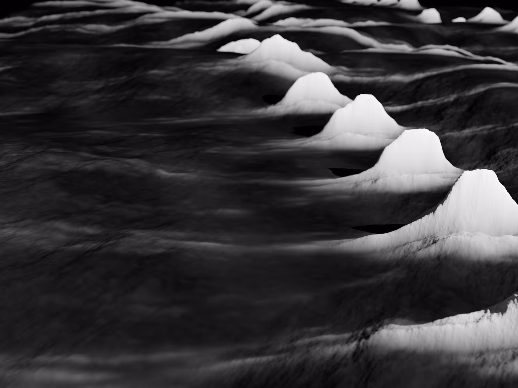 PHYSARUM LANDSCAPE #12