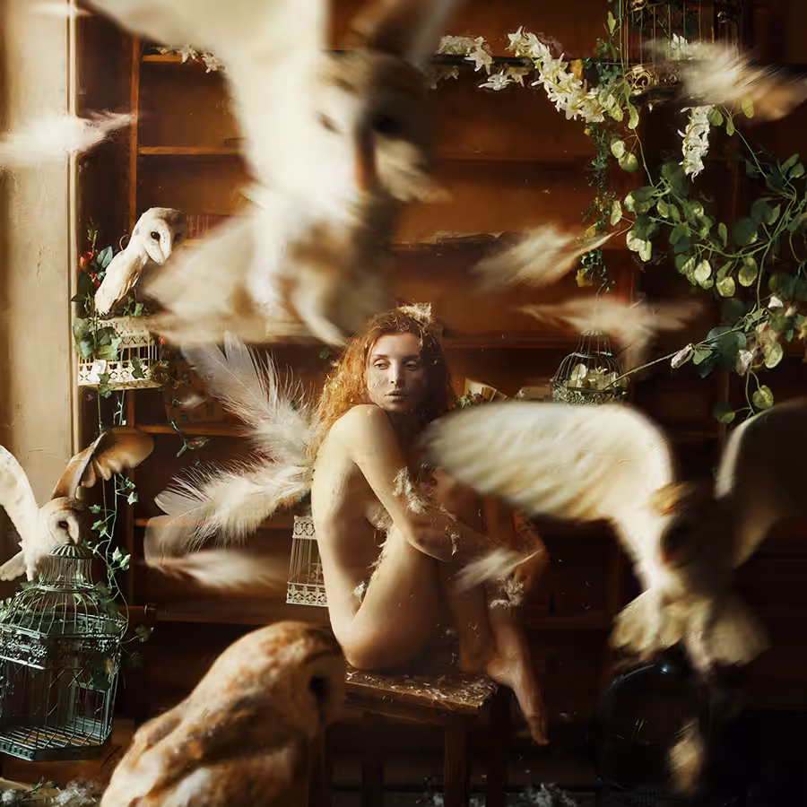 Bird №1