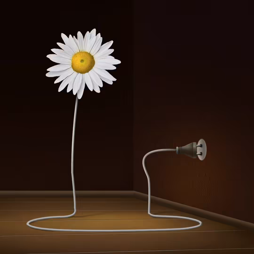 " Electric Daisy "