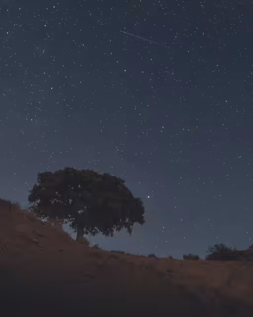 Night #10