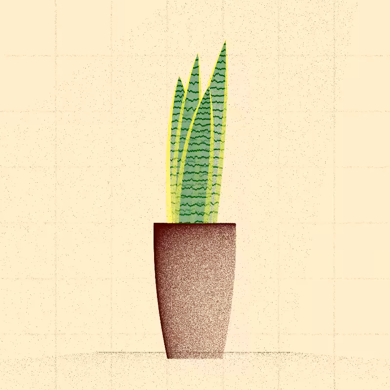 🌱 Potted & Printed #202