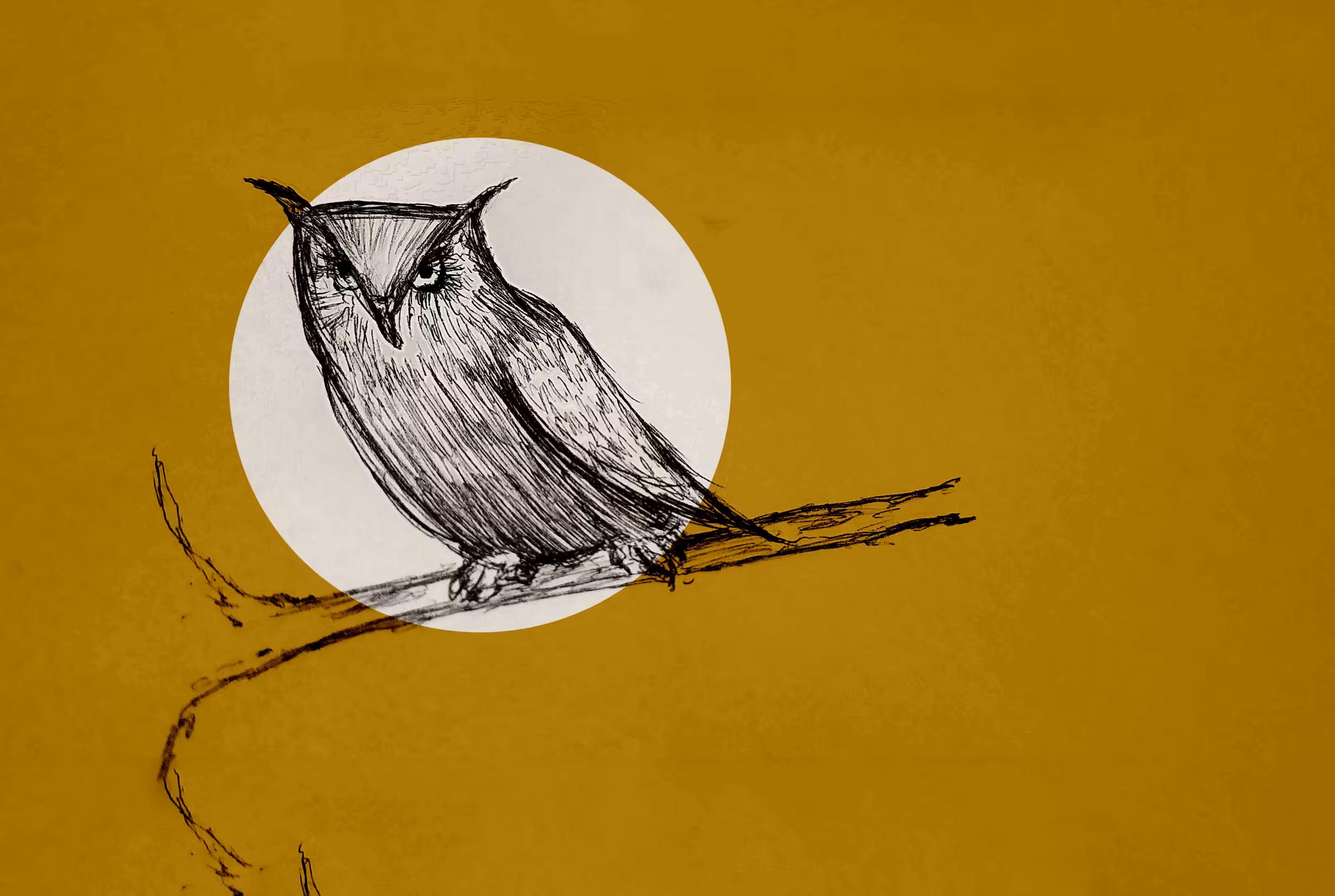 Nite owl