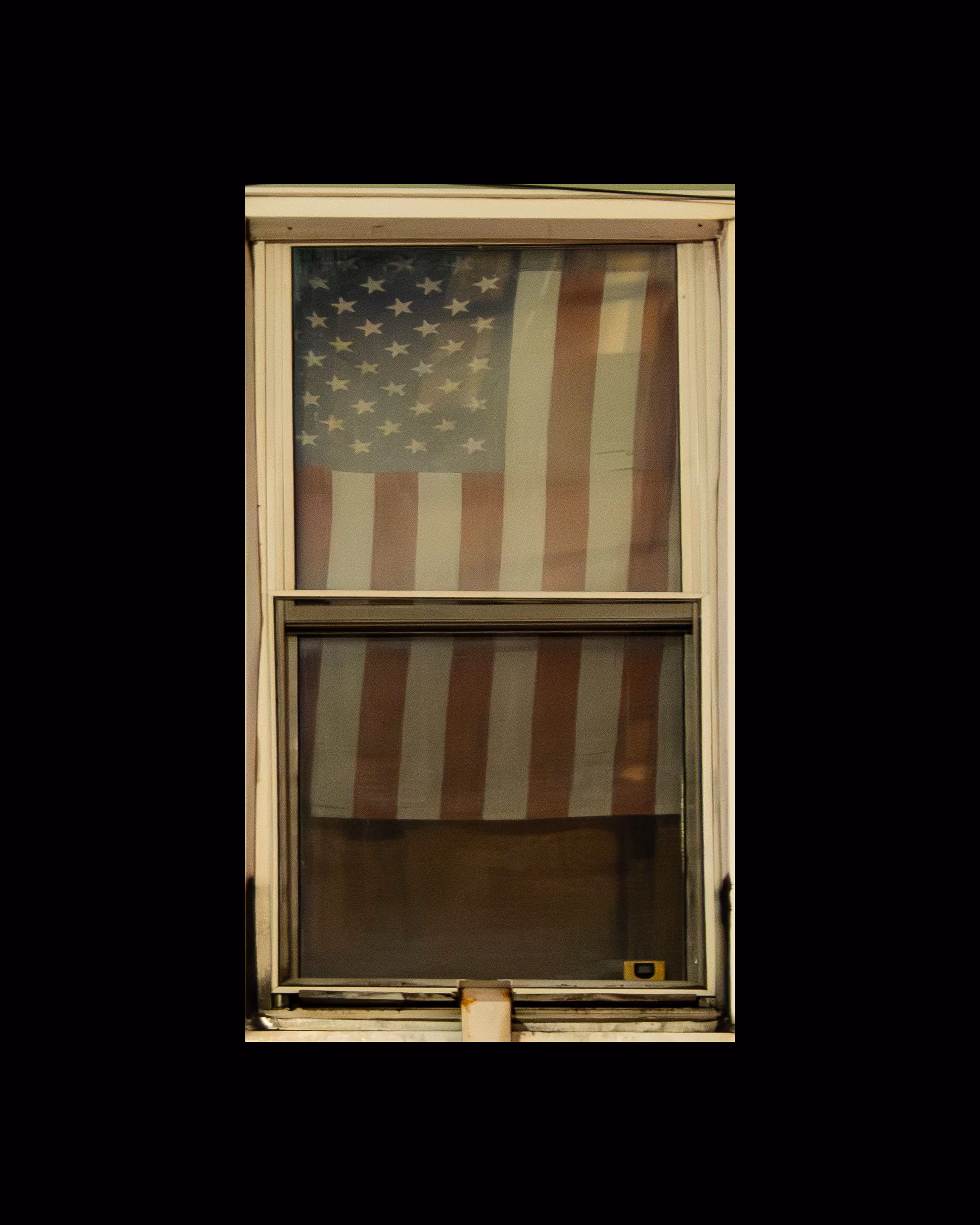 WINDOW 781