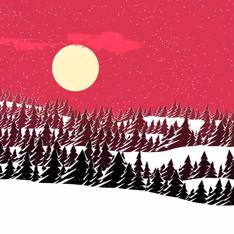 Winterland #155